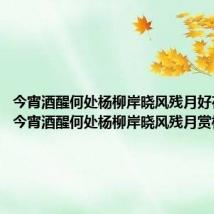 今宵酒醒何处杨柳岸晓风残月好在哪里(今宵酒醒何处杨柳岸晓风残月赏析)