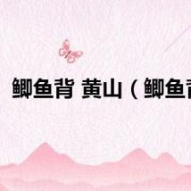 鲫鱼背 黄山（鲫鱼背）