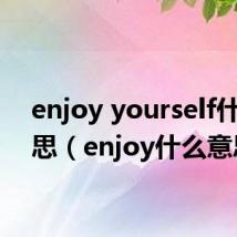 enjoy yourself什么意思(enjoy什么意思)