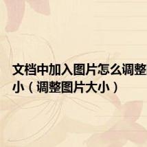 文档中加入图片怎么调整图片大小(调整图片大小)