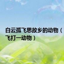 白云孤飞思故乡的动物(白云孤飞打一动物)