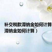 补交税款滞纳金如何计算(税款滞纳金如何计算)