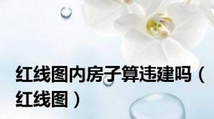 红线图内房子算违建吗（红线图）