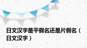 日文汉字是平假名还是片假名（日文汉字）