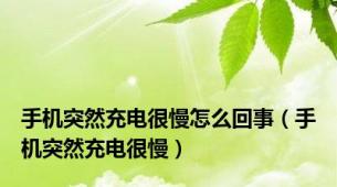 手机突然充电很慢怎么回事（手机突然充电很慢）