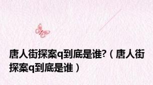 唐人街探案q到底是谁?（唐人街探案q到底是谁）
