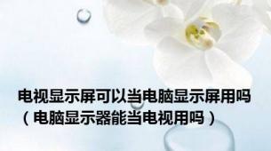 电视显示屏可以当电脑显示屏用吗（电脑显示器能当电视用吗）