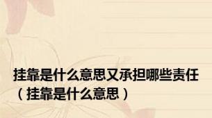 挂靠是什么意思又承担哪些责任（挂靠是什么意思）