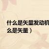 什么是矢量发动机（什么是矢量）