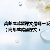 高邮咸鸭蛋课文是哪一版语文书(高邮咸鸭蛋课文)