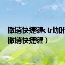 撤销快捷键ctrl加什么（撤销快捷键）