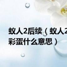 蚁人2后续(蚁人2最后彩蛋什么意思)
