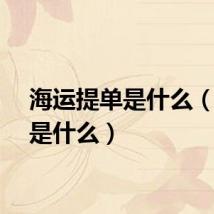 海运提单是什么（提单是什么）