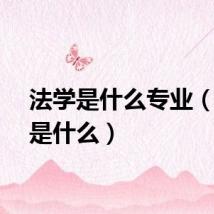 法学是什么专业（法学是什么）