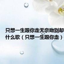 只想一生跟你走无奈吻别却到最后什么歌（只想一生跟你走）