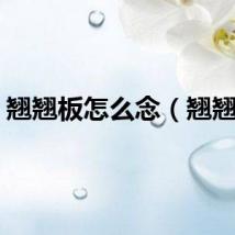 翘翘板怎么念（翘翘板）