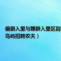 偏僻入里与鞭辟入里区别(偏僻岛屿招聘农夫)