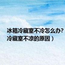 冰箱冷藏室不冷怎么办?(冰箱冷藏室不凉的原因)