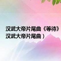 汉武大帝片尾曲《等待》原唱(汉武大帝片尾曲)