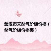 武汉市天然气阶梯价格(武汉天然气阶梯价格表)
