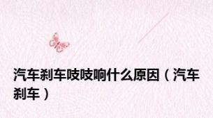 汽车刹车吱吱响什么原因（汽车刹车）