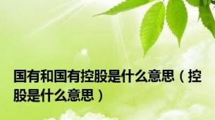 国有和国有控股是什么意思（控股是什么意思）
