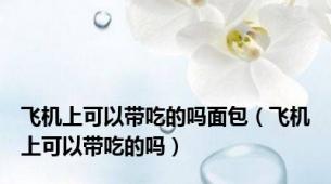 飞机上可以带吃的吗面包（飞机上可以带吃的吗）