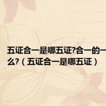 五证合一是哪五证?合一的一是指什么?(五证合一是哪五证)
