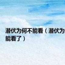 潜伏为何不能看(潜伏为什么不能看了)