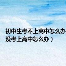 初中生考不上高中怎么办(初中没考上高中怎么办)