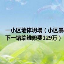 一小区墙体坍塌（小区暴雨中倒下一堵墙维修费129万）