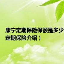 康宁定期保险保额是多少(康宁定期保险介绍)