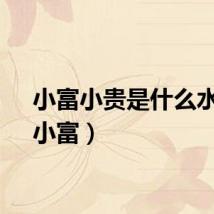 小富小贵是什么水平（小富）
