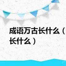 成语万古长什么（万古长什么）