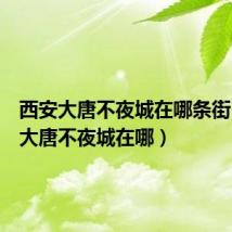 西安大唐不夜城在哪条街（西安大唐不夜城在哪）
