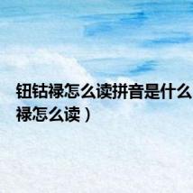 钮钴禄怎么读拼音是什么(钮钴禄怎么读)
