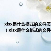 xlsx是什么格式的文件怎么转换（xlsx是什么格式的文件）