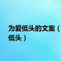 为爱低头的文案（为爱低头）