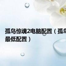 孤岛惊魂2电脑配置（孤岛惊魂2最低配置）