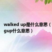 walked up是什么意思（walkingup什么意思）