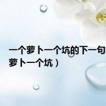 一个萝卜一个坑的下一句(一个萝卜一个坑)