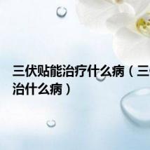 三伏贴能治疗什么病(三伏贴能治什么病)