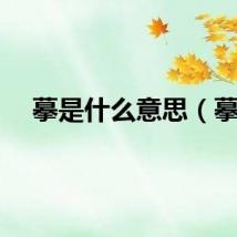 摹是什么意思（摹）