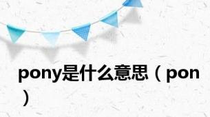pony是什么意思（pon）