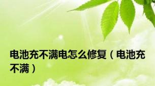 电池充不满电怎么修复（电池充不满）