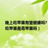 晚上吃苹果有害健康吗?（晚上吃苹果是毒苹果吗）