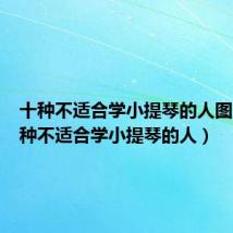 十种不适合学小提琴的人图片（十种不适合学小提琴的人）
