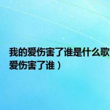 我的爱伤害了谁是什么歌(我的爱伤害了谁)
