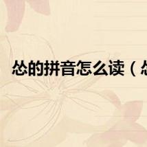 怂的拼音怎么读（怂）
