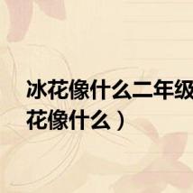 冰花像什么二年级（冰花像什么）